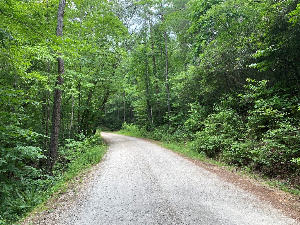 0 Winding Stairs Road Tamassee, SC 29686 - Photo 3 of 45 Gallery Image 3