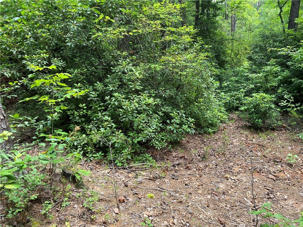 0 Winding Stairs Road Tamassee, SC 29686 - Photo 5 of 45 Gallery Image 5