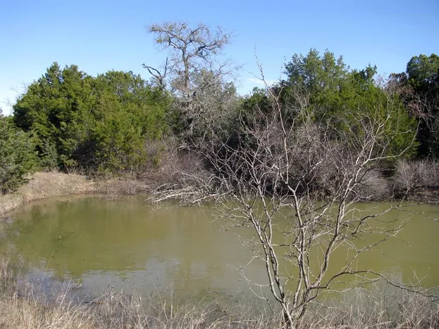 a view of lake with a tree in the background