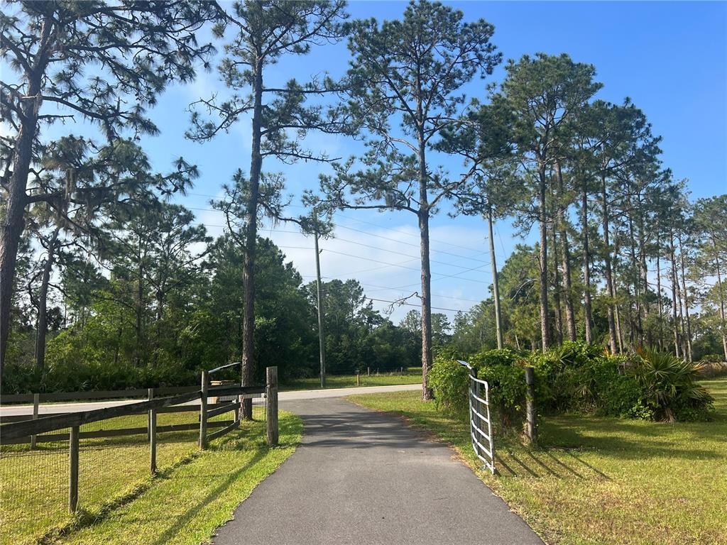 5855 Jack Brack Road St. Cloud, FL 34771 - Photo 41 of 86 a view of a park with large trees