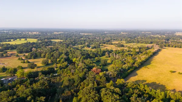 $1,186,500 | 113-ac Fellowship Lane East, Madisonville, TX 77864