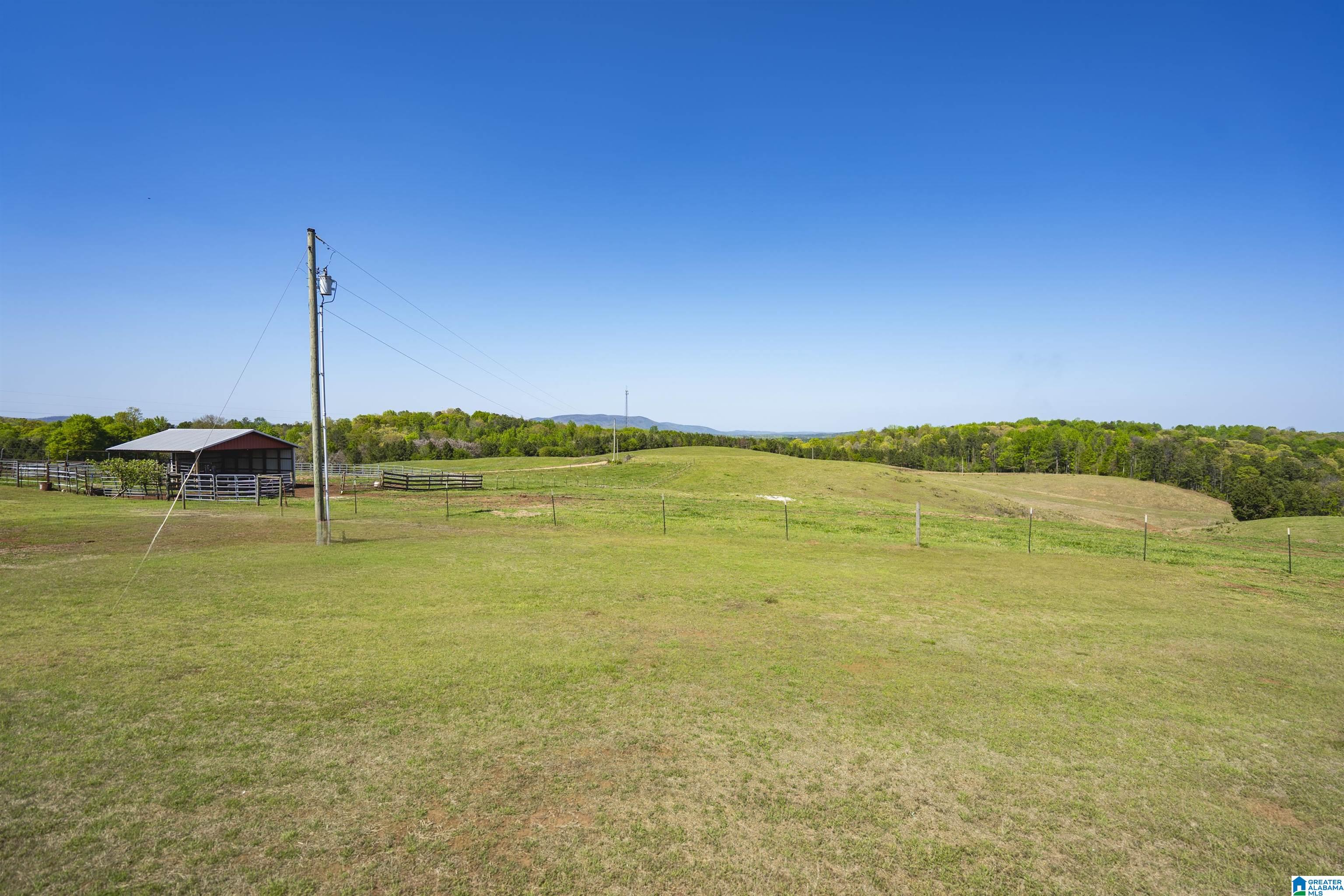 130 Kelly Road Ashland, AL 36251 - Photo 59 of 66