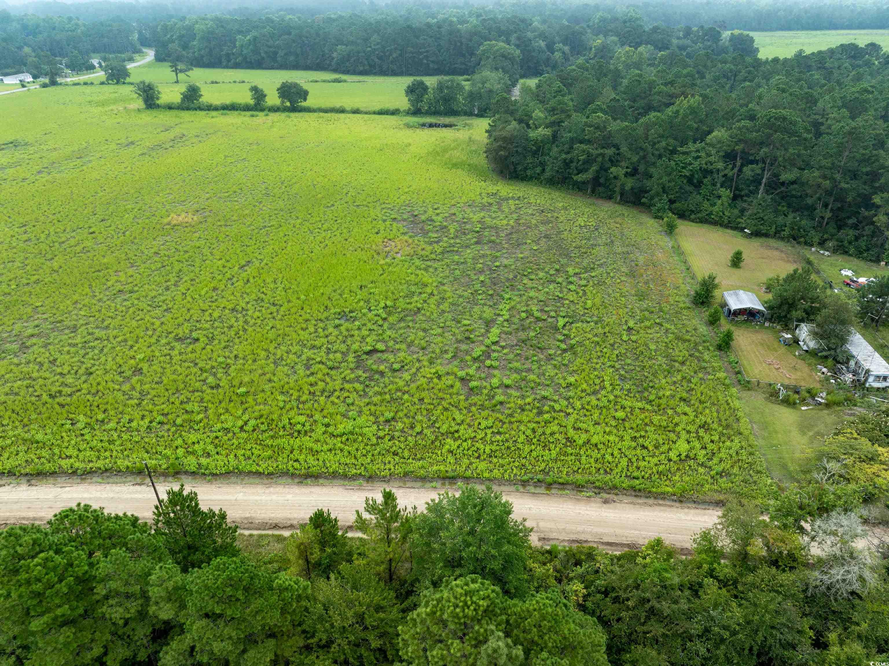 Tbd Lot 1 Tbd Road Loris, SC 29569 - Photo 2 of 4 View of rural area featuring rows of crops