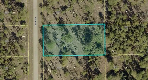 a view of a wall with a plant