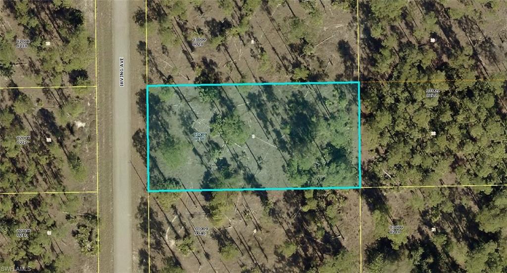 a view of a wall with a plant