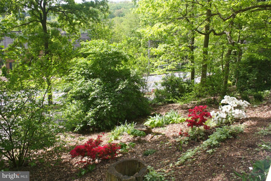 2511 Nolt Road Lancaster, PA 17601 - Photo 24 of 25 Gallery Image 24