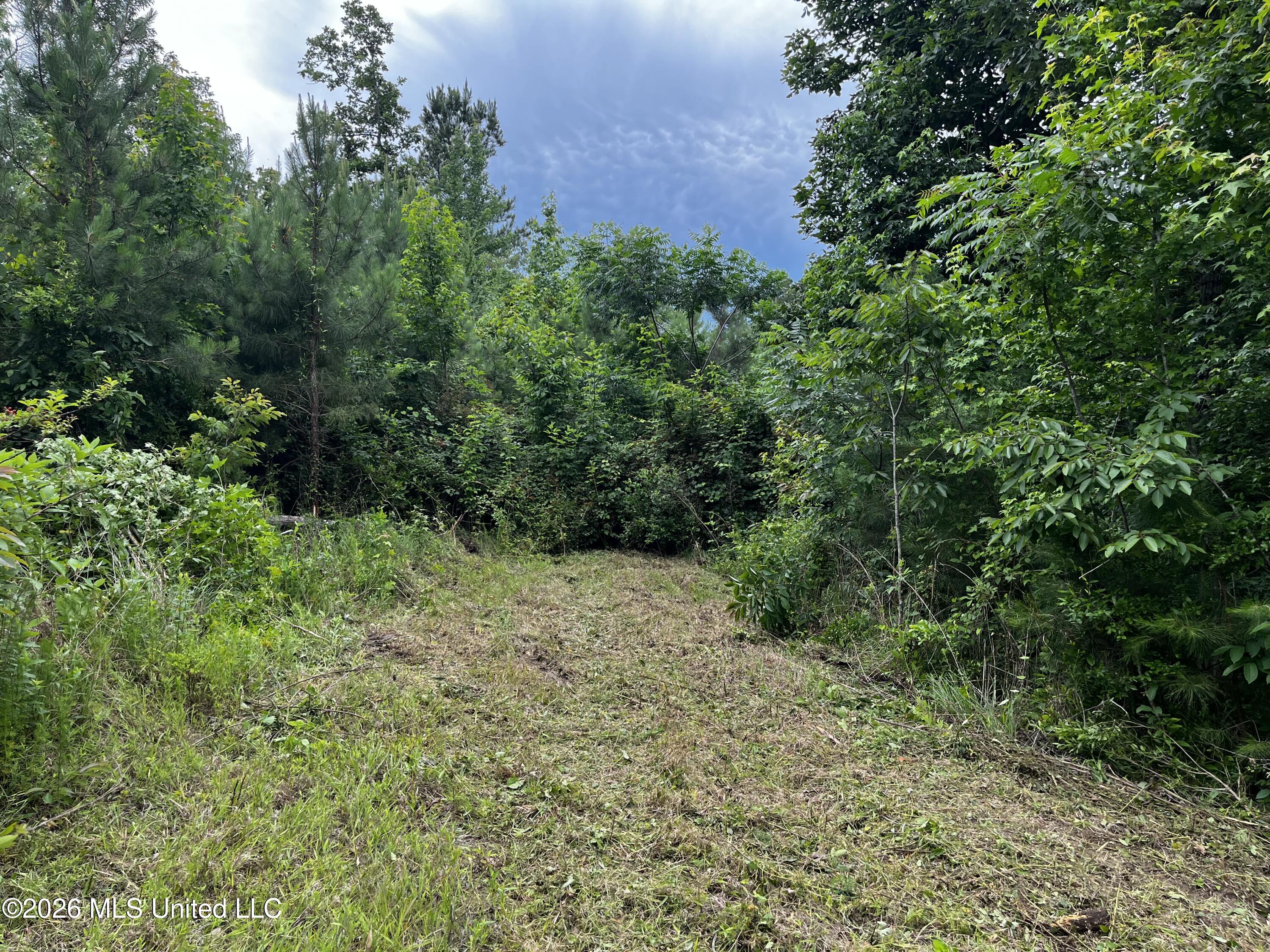 Cline Road Wesson, MS 39191 - Photo 2 of 16 IMG_1161