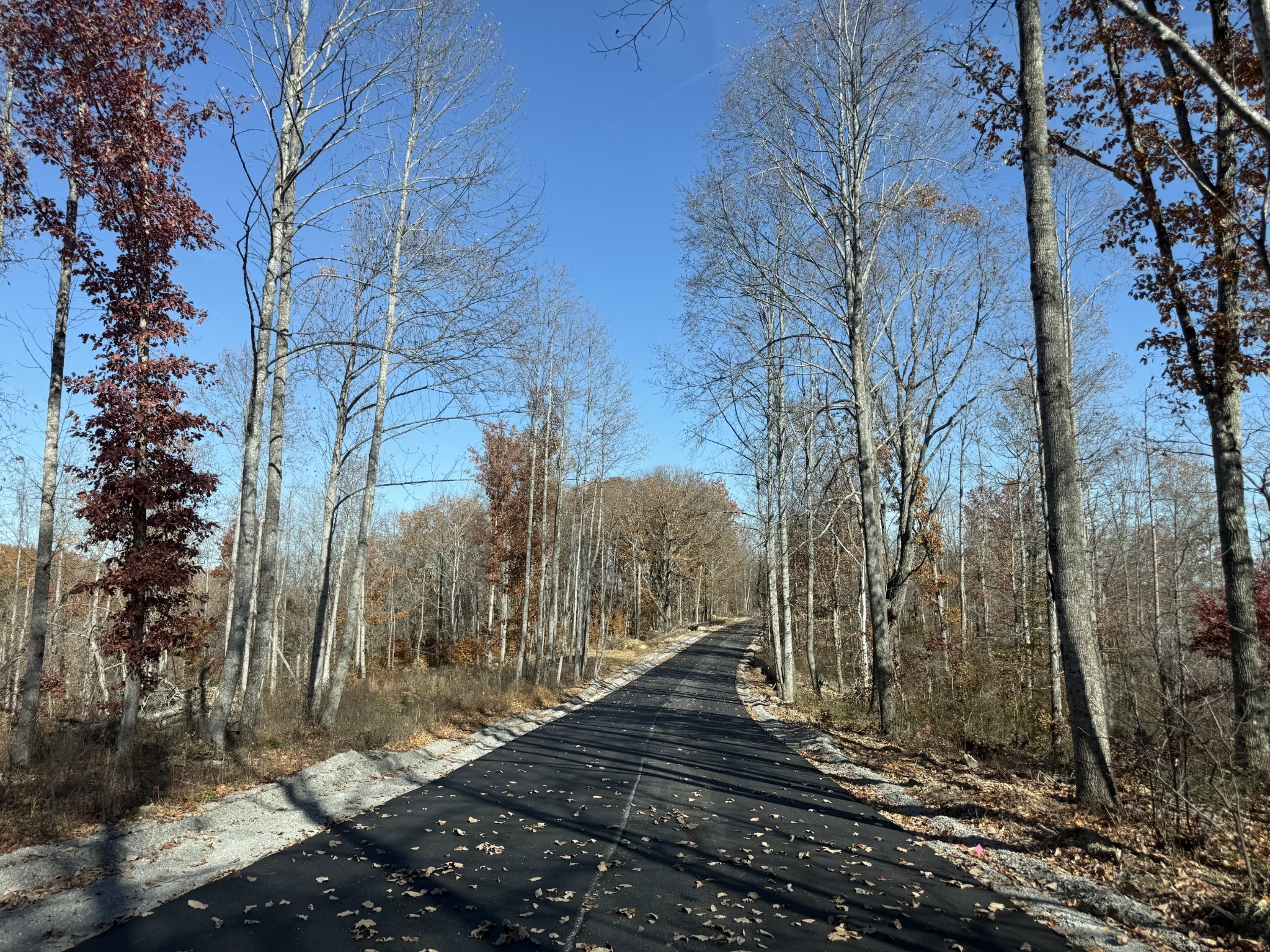 10 Falling Timber Drive Pegram, TN 37143 - Photo 2 of 3 a view of a yard with trees