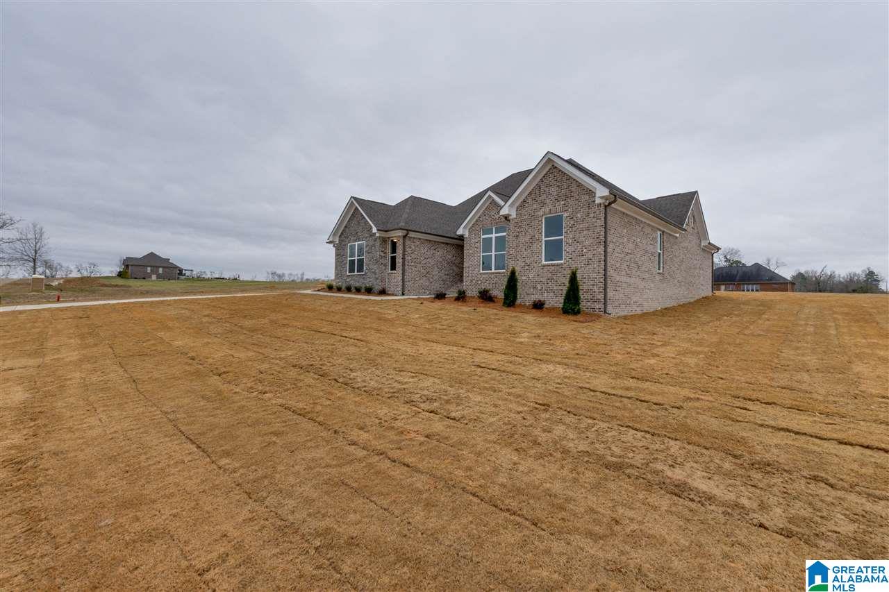 20 Crest Loop Road Clanton, AL 35045 - Photo 4 of 50