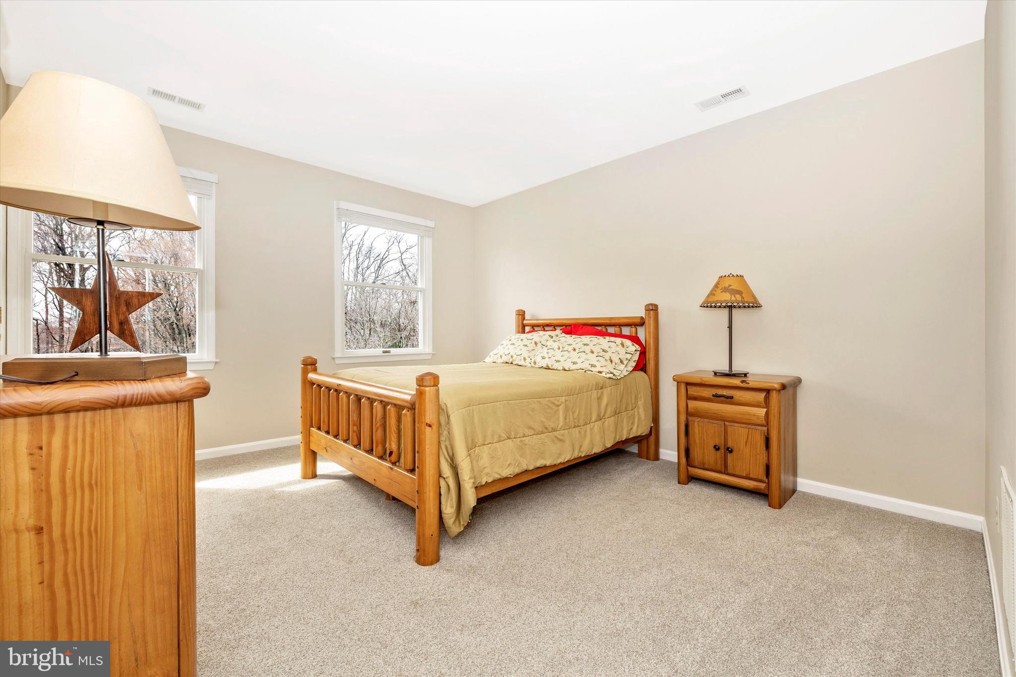 5439 Cabbage Spring Road Mount Airy, MD 21771 - Photo 32 of 84