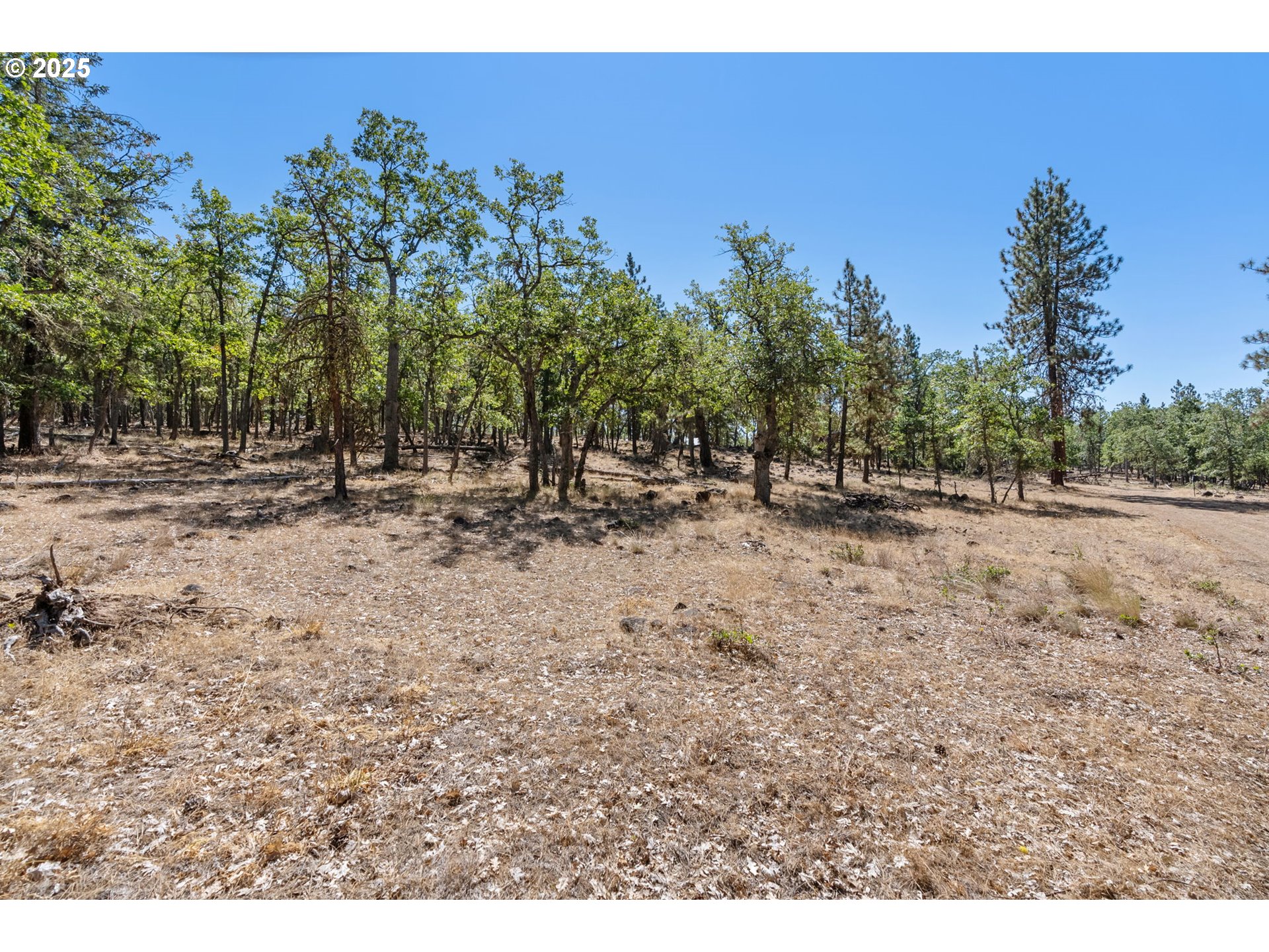 Wilderness Loop Goldendale, WA 98620 - Photo 1 of 31 a view of outdoor space with trees all around