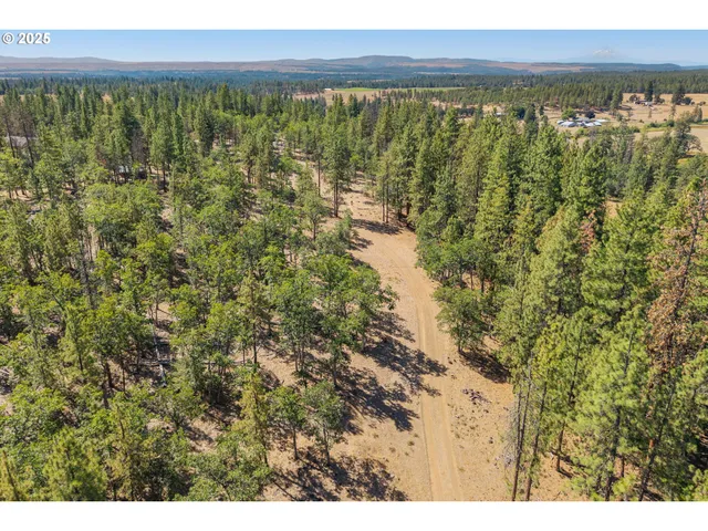 a view of a city with lush green forest
