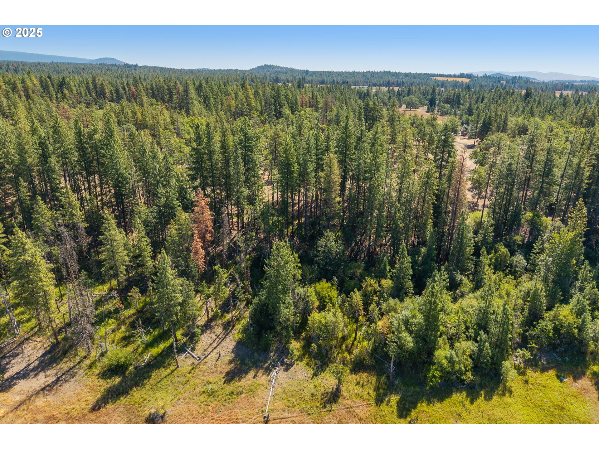 Wilderness Loop Goldendale, WA 98620 - Photo 13 of 31 a view of a city with lush green forest