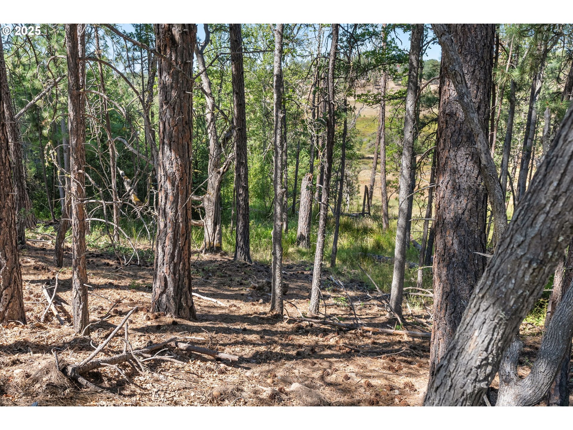 Wilderness Loop Goldendale, WA 98620 - Photo 14 of 31 a backyard of a house with lots of green space