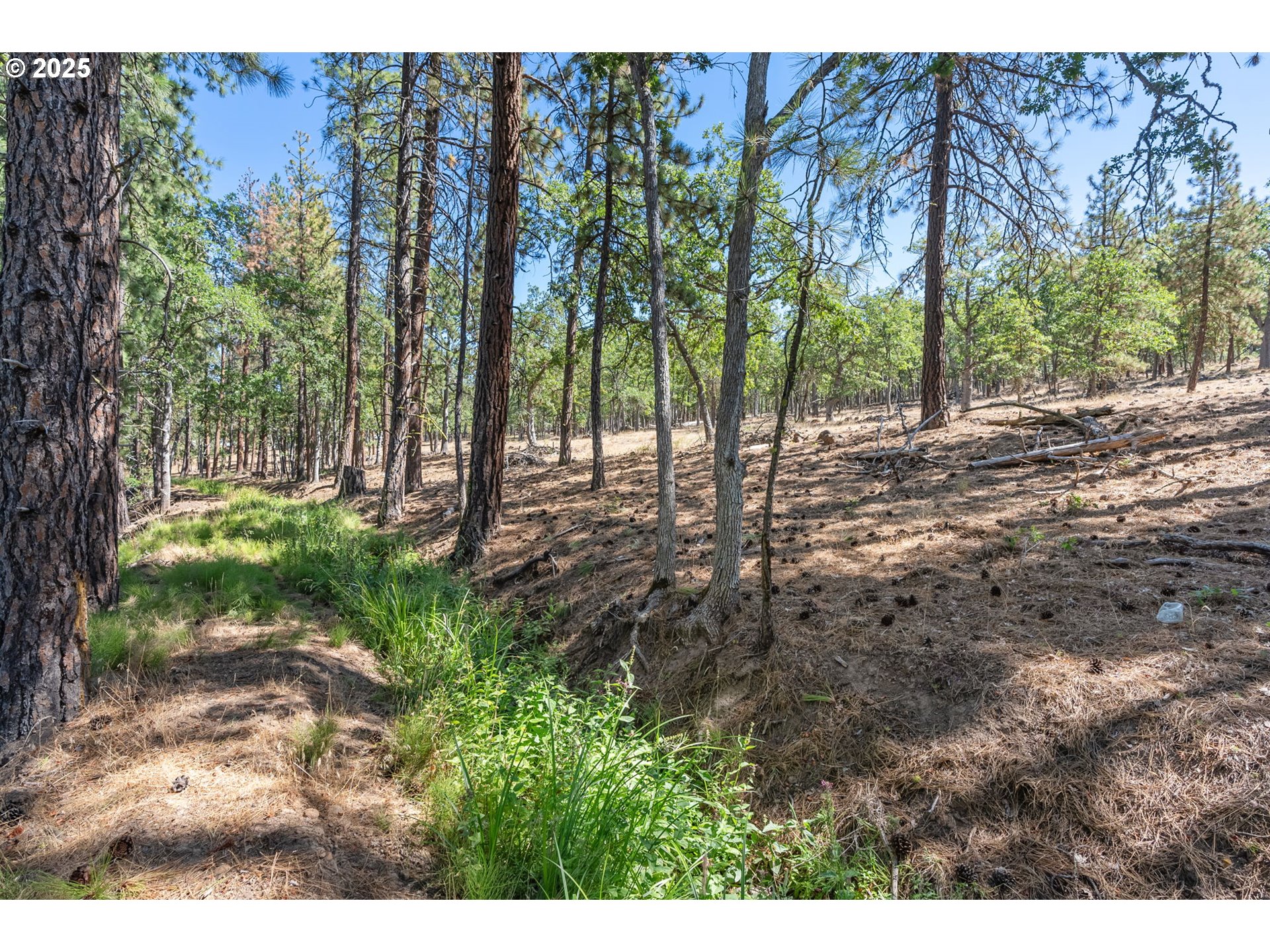 Wilderness Loop Goldendale, WA 98620 - Photo 15 of 31 a view of backyard with tree