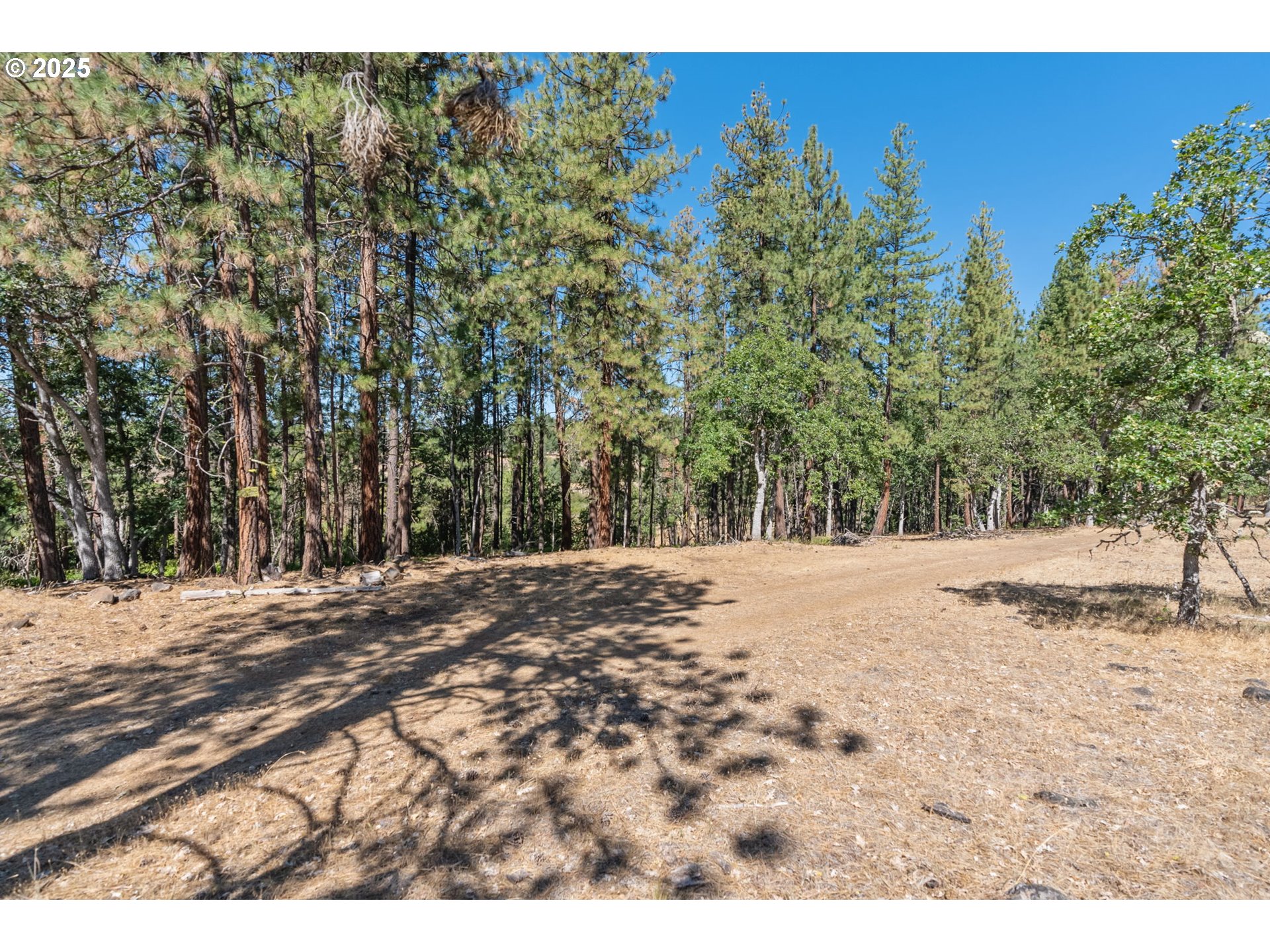 Wilderness Loop Goldendale, WA 98620 - Photo 16 of 31 a view of a yard with trees