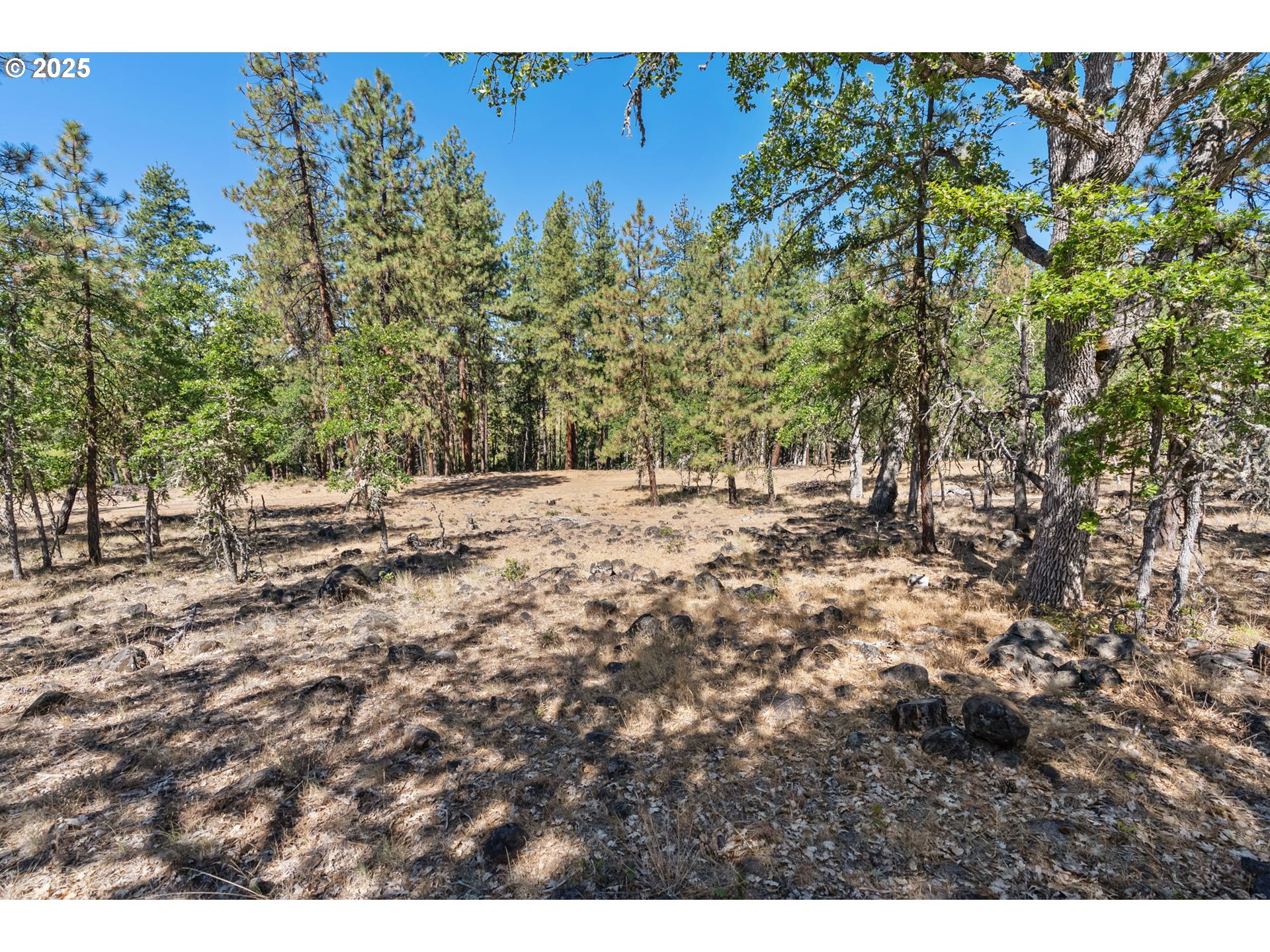 Wilderness Loop Goldendale, WA 98620 - Photo 17 of 31 a view of a yard with a tree