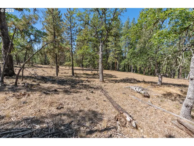 a view of dirt yard with a tree