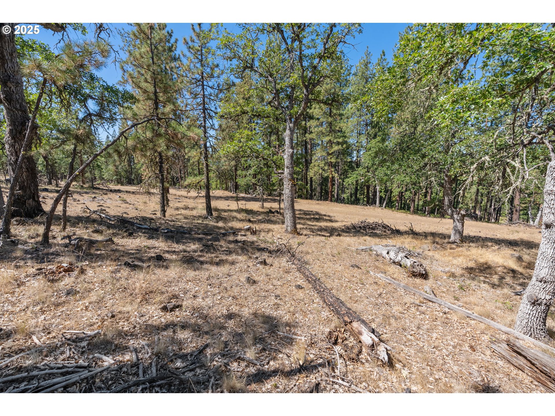 Wilderness Loop Goldendale, WA 98620 - Photo 19 of 31 a backyard of a house with lots of green space