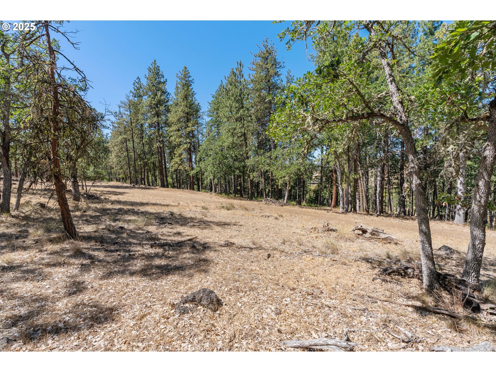 Wilderness Loop Goldendale, WA 98620 - Photo 20 of 31 a view of dirt yard with a tree