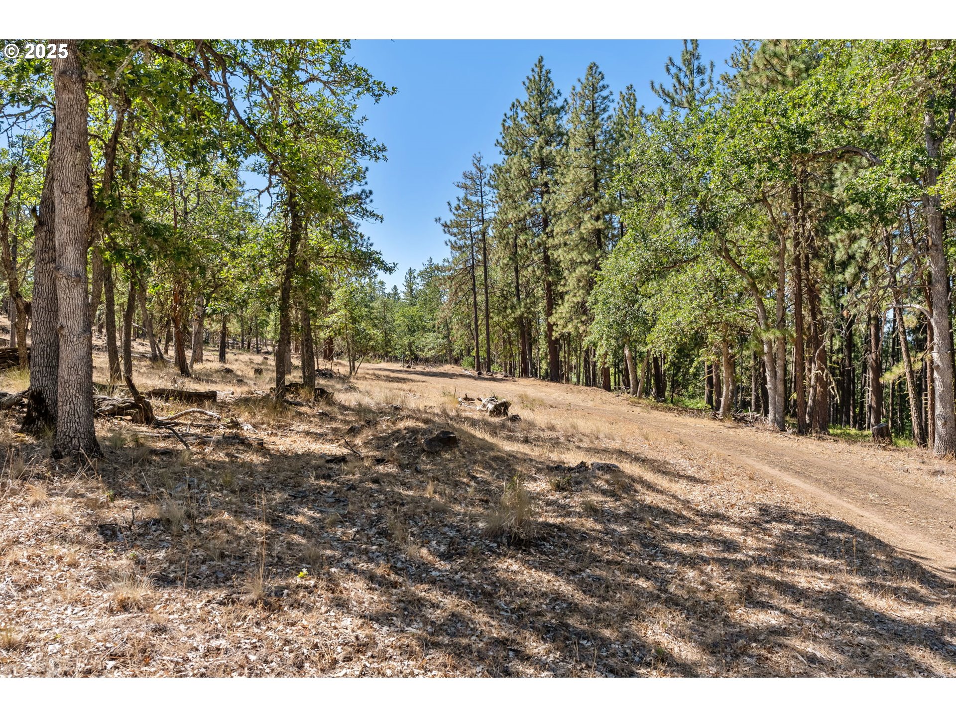 Wilderness Loop Goldendale, WA 98620 - Photo 22 of 31 a view of road with trees