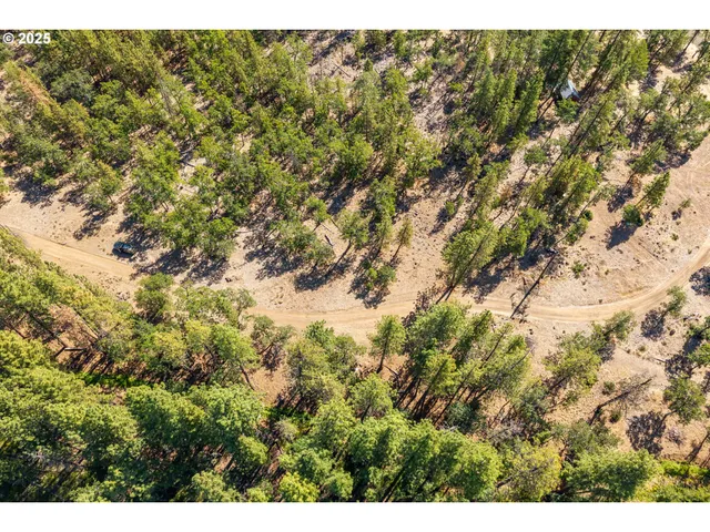 a view of a yard with wooden fence