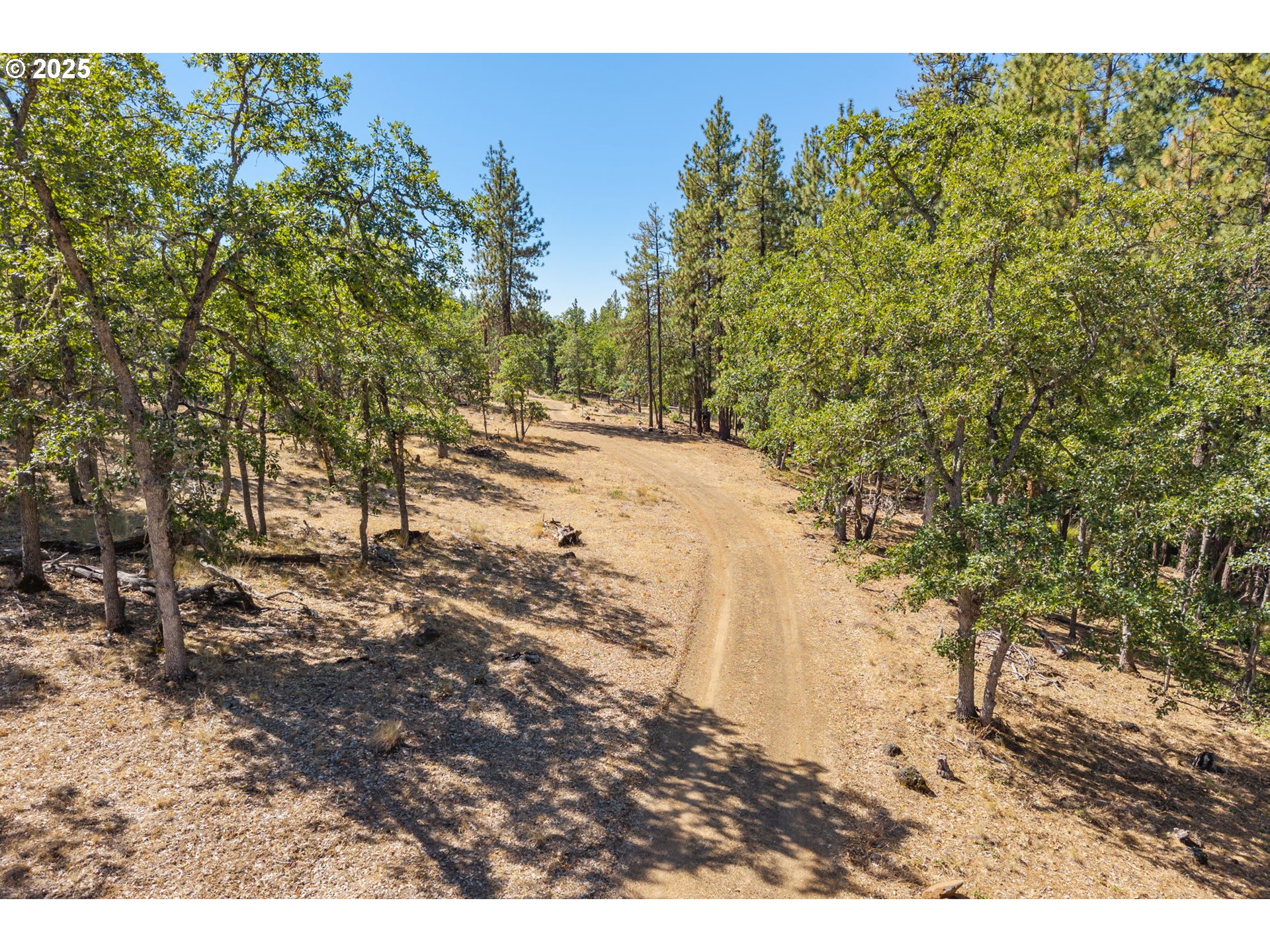 Wilderness Loop Goldendale, WA 98620 - Photo 28 of 31 a view of a yard with trees in front of it