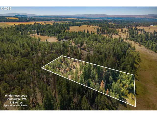 a view of a bunch of trees