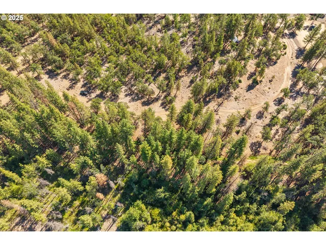 $39,000 | Wilderness Loop, Goldendale, WA 98620