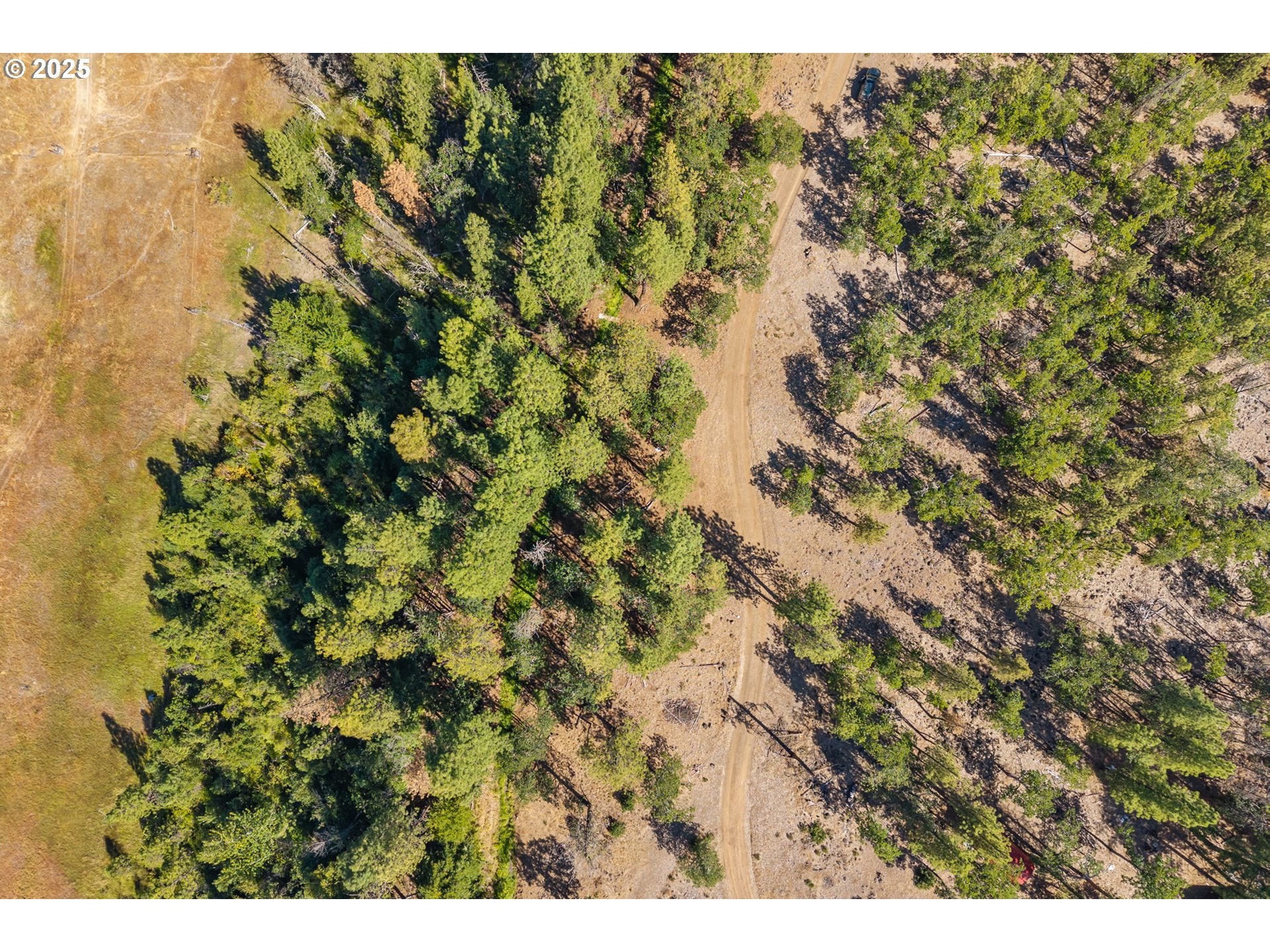 Wilderness Loop Goldendale, WA 98620 - Photo 4 of 31 a view of a bunch of trees