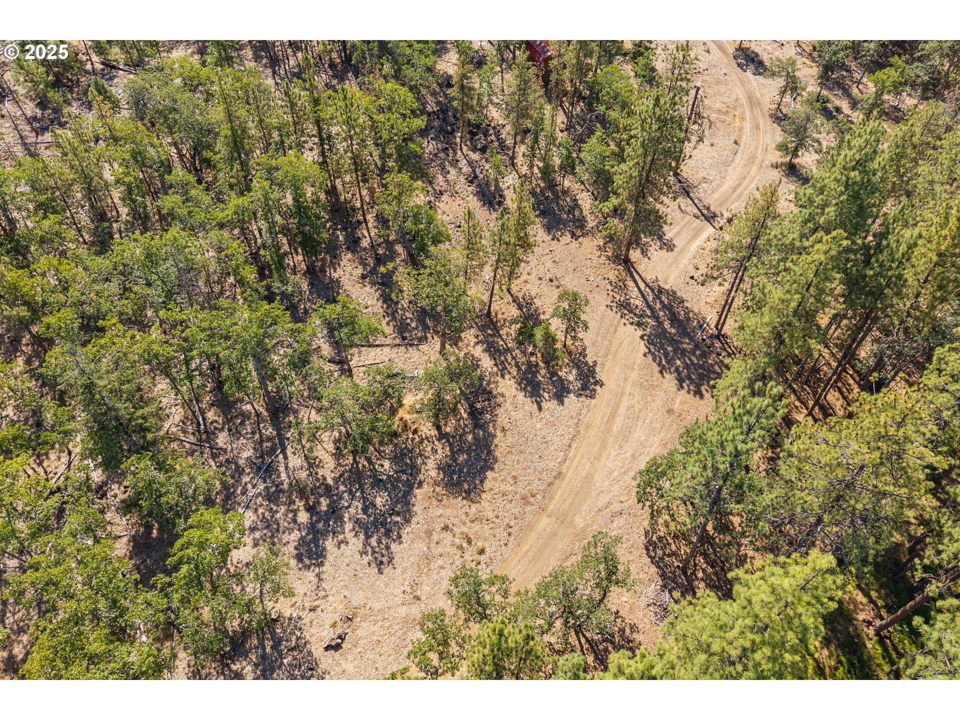 Wilderness Loop Goldendale, WA 98620 - Photo 5 of 31 a view of a city with lush green forest