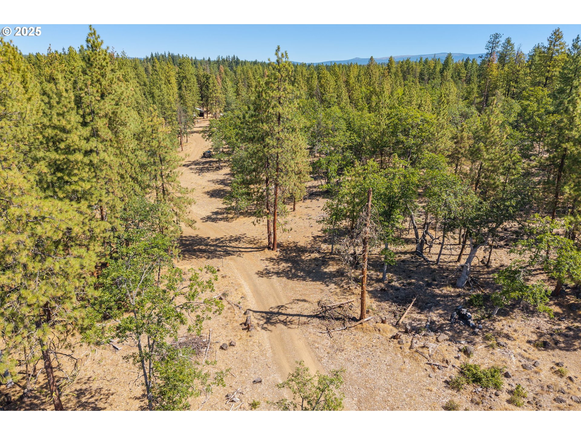 Wilderness Loop Goldendale, WA 98620 - Photo 6 of 31 a view of a yard