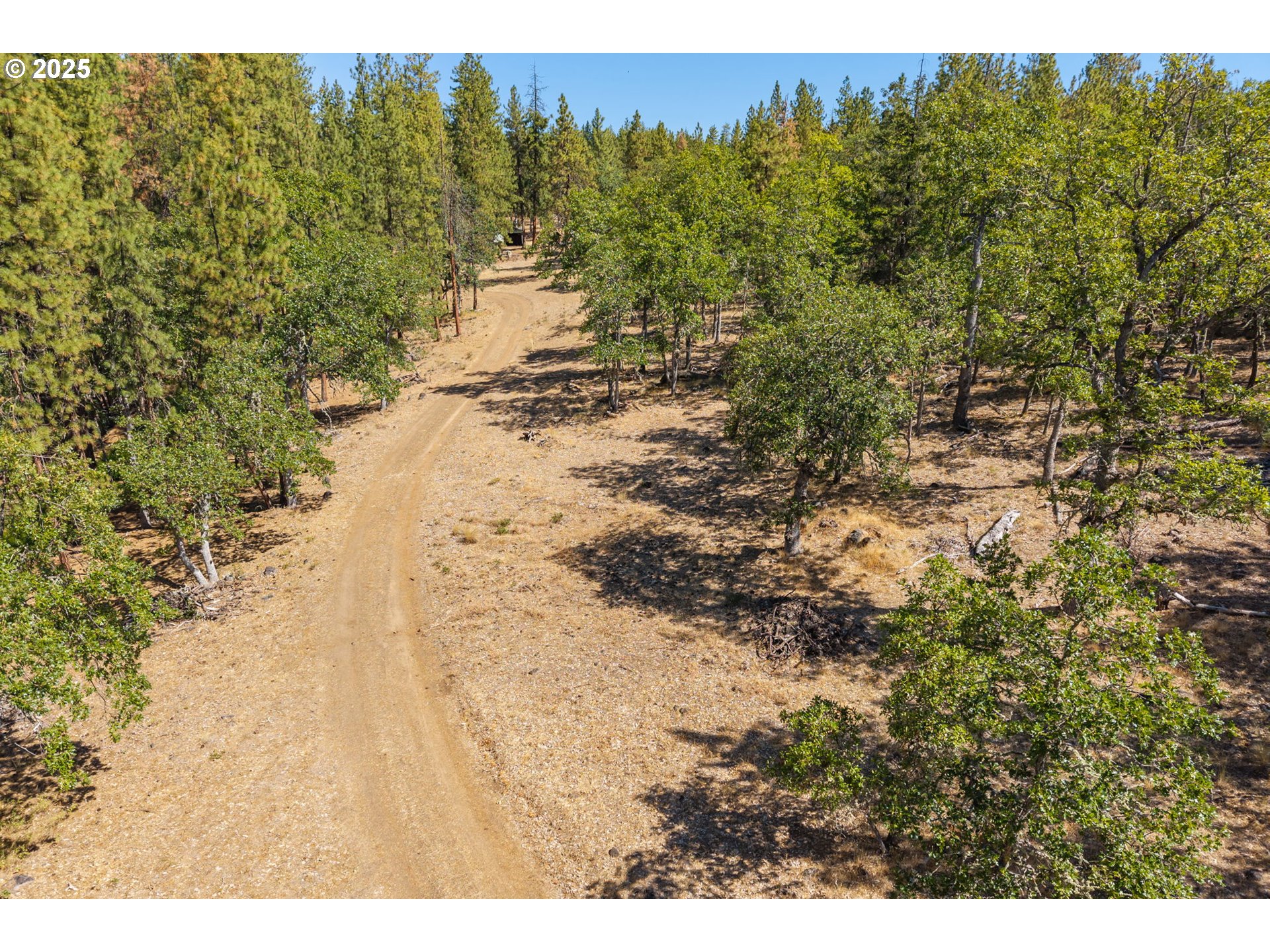 Wilderness Loop Goldendale, WA 98620 - Photo 7 of 31 a view of a yard with trees and bushes