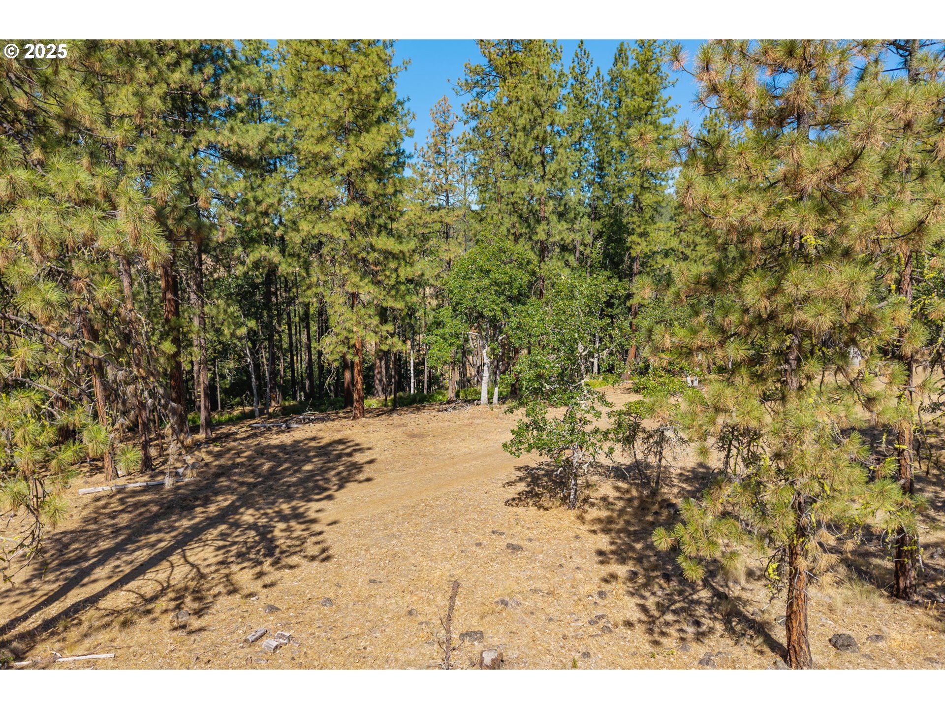 Wilderness Loop Goldendale, WA 98620 - Photo 8 of 31 a view of a yard with a tree