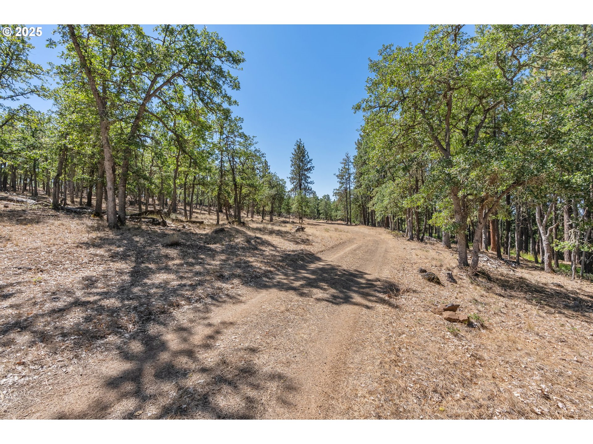 Wilderness Loop Goldendale, WA 98620 - Photo 10 of 31 a view of dirt yard with a large tree