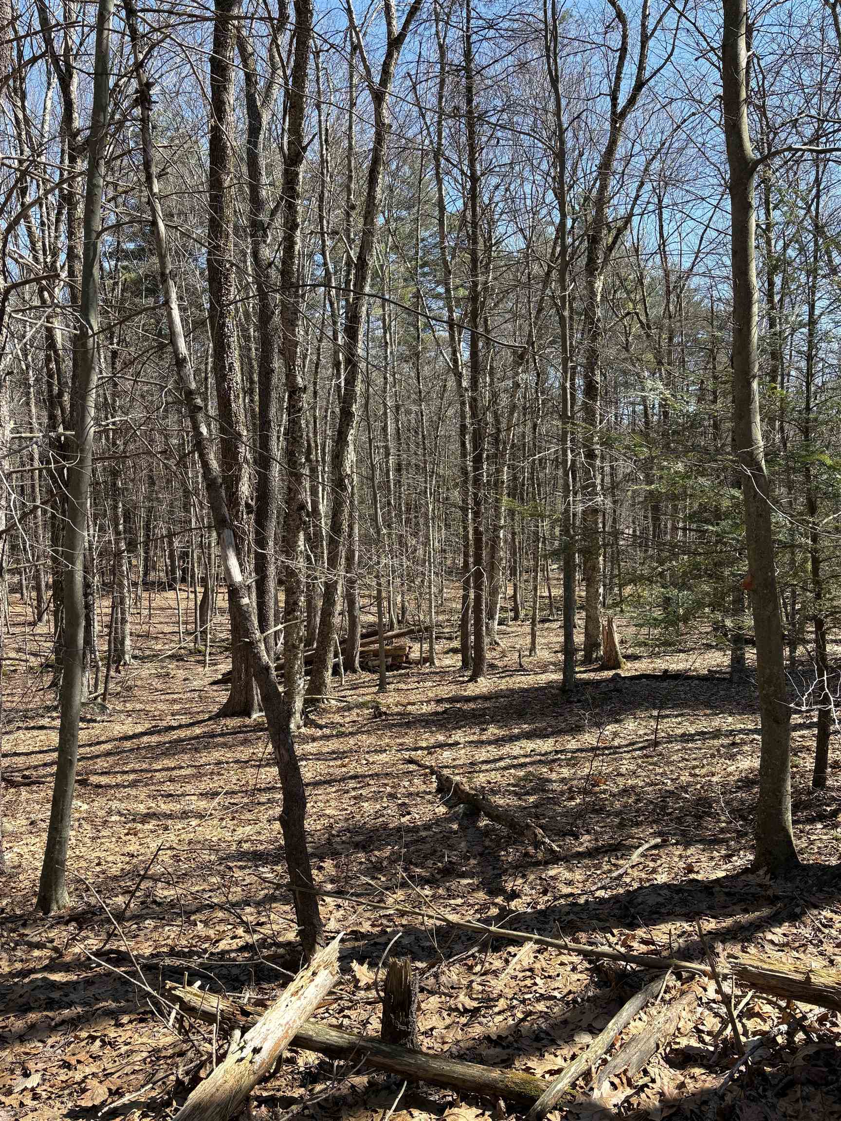 79-1 Currier Road Candia, NH 03034 - Photo 17 of 33