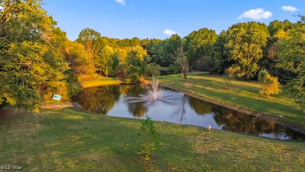14413 Macklin Road New Springfield, OH 44443 - Photo 23 of 49 Water view featuring a heavily wooded area
