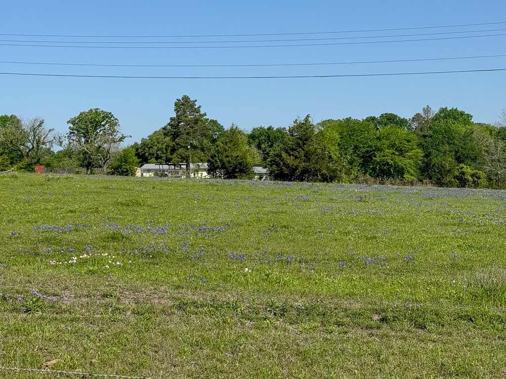 8 Fm 149 Rd Road West Anderson, TX 77830 - Photo 4 of 16 a view of a lush green space