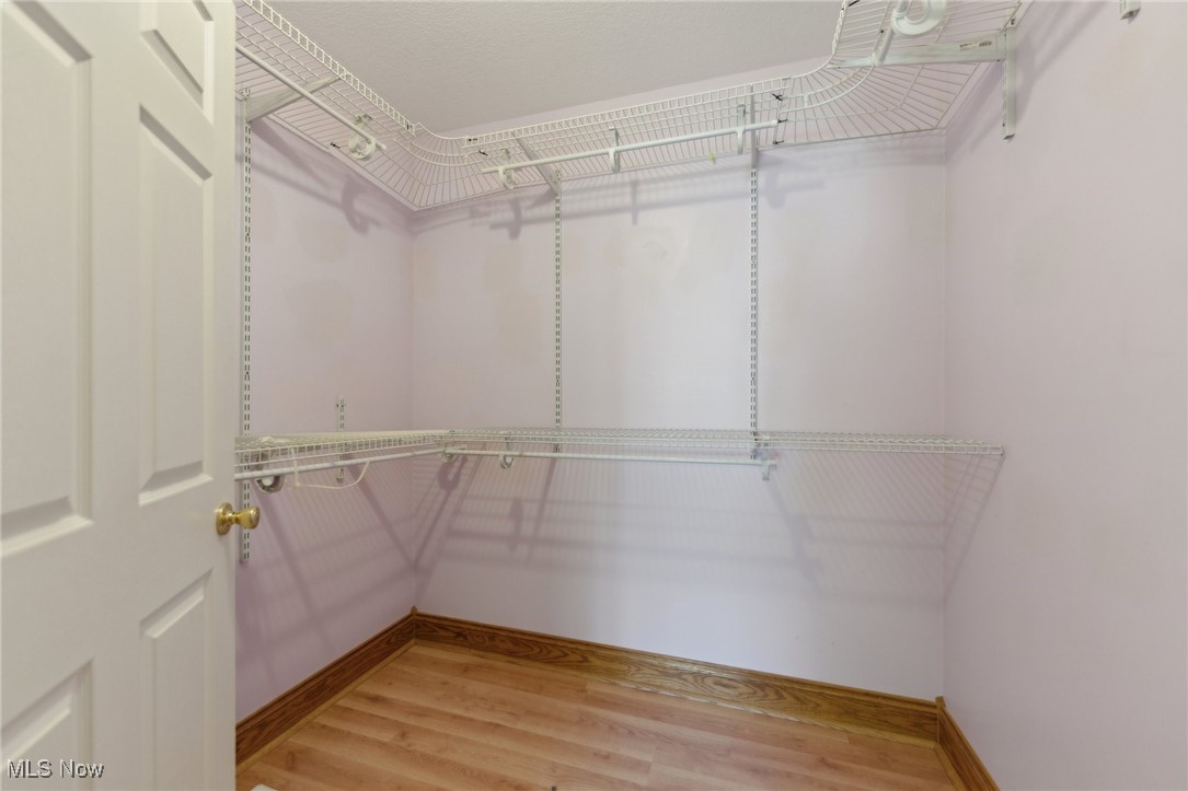 45230 Cemetery Road Wellington, OH 44090 - Photo 18 of 50 Walk in closet with light wood-type flooring
