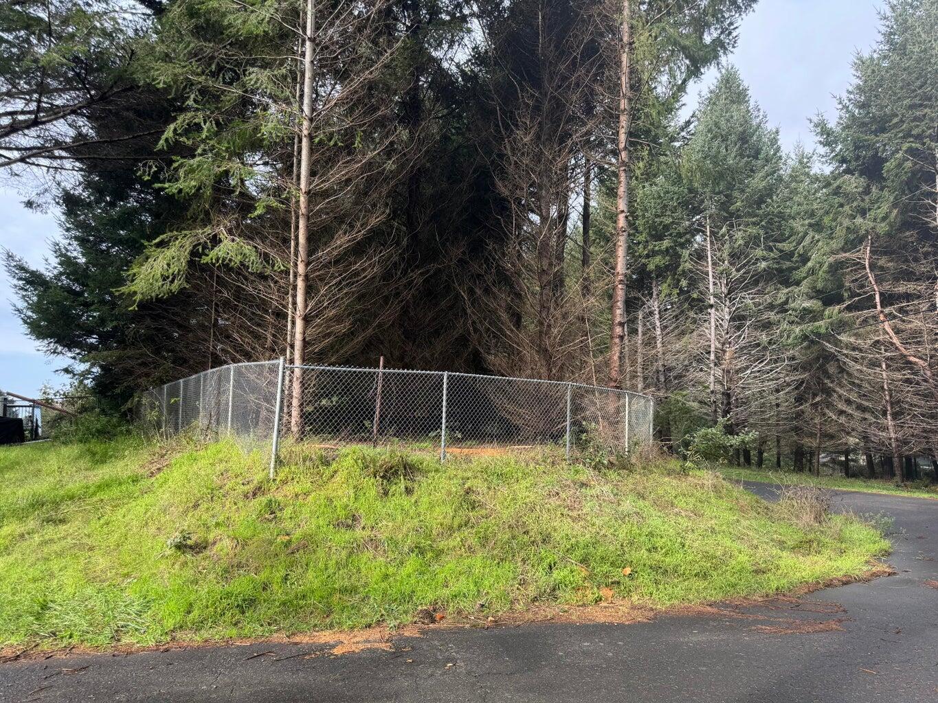 416 Ridge Road Shelter Cove, CA 95589 - Photo 2 of 15 image 2