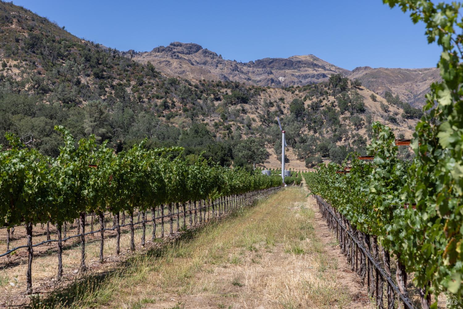 0 Rosedale Road Calistoga, CA 94515 - Photo 21 of 23 Gallery Image 21