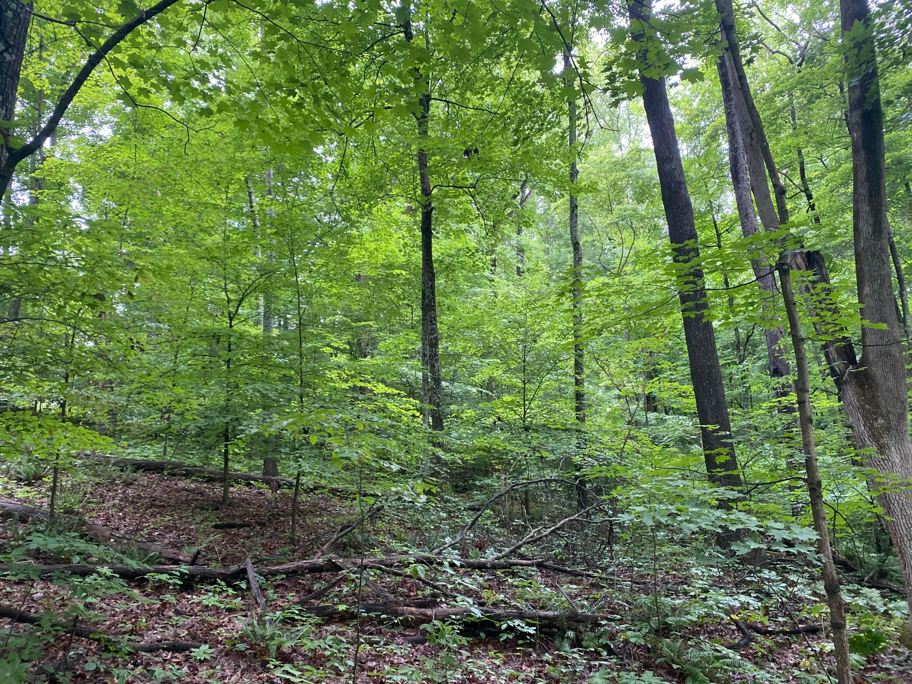 0 Via-Ken Road Hopewell, OH 43746 - Photo 7 of 11 View