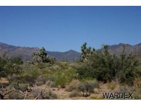 2056 South Diamondback Road Yucca, AZ 86438 - Photo 2 of 3 Additional Photo