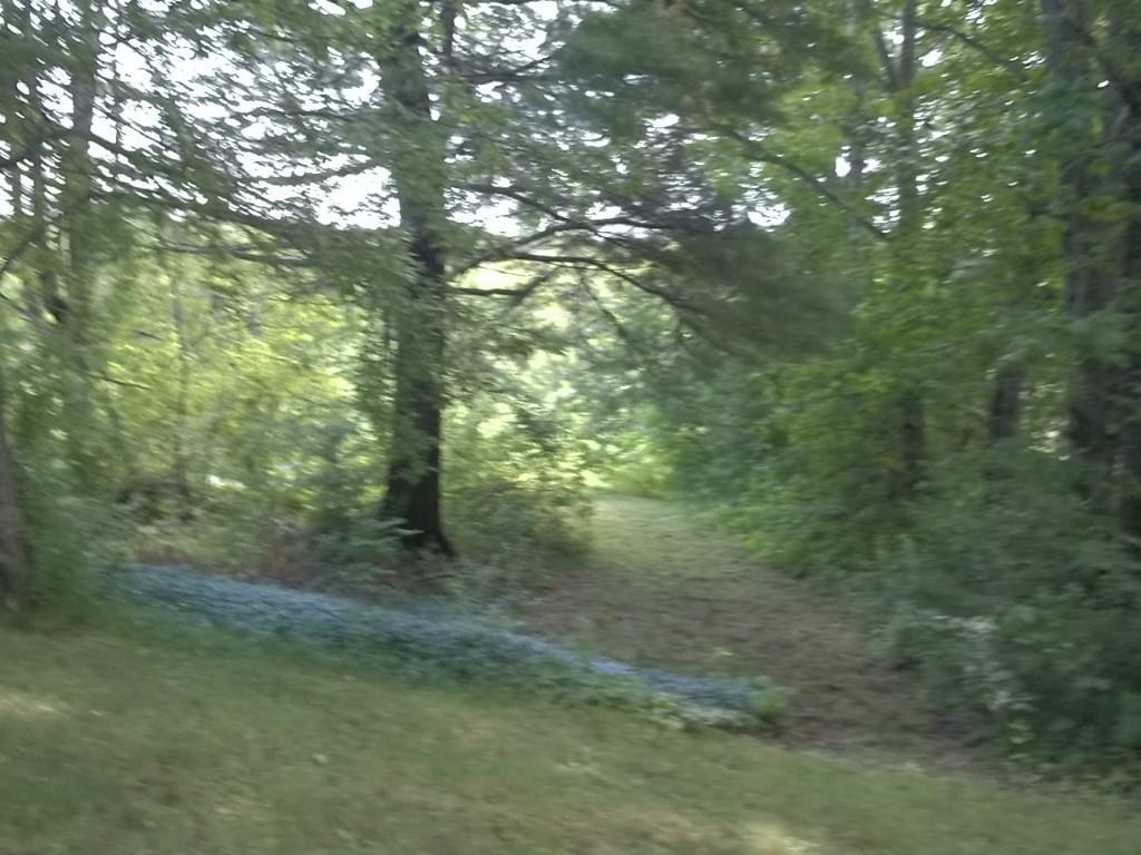 362 Gardiner Road Jefferson, ME 04348 - Photo 12 of 35 Photo