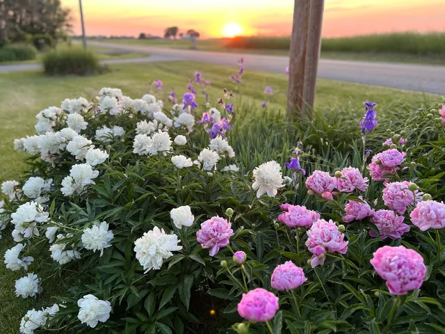 $499,000 | 2761 County Road 1700 North, Ogden, IL 61859