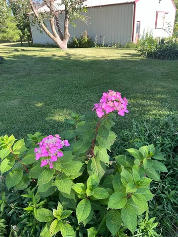 $499,000 | 2761 County Road 1700 North, Ogden, IL 61859