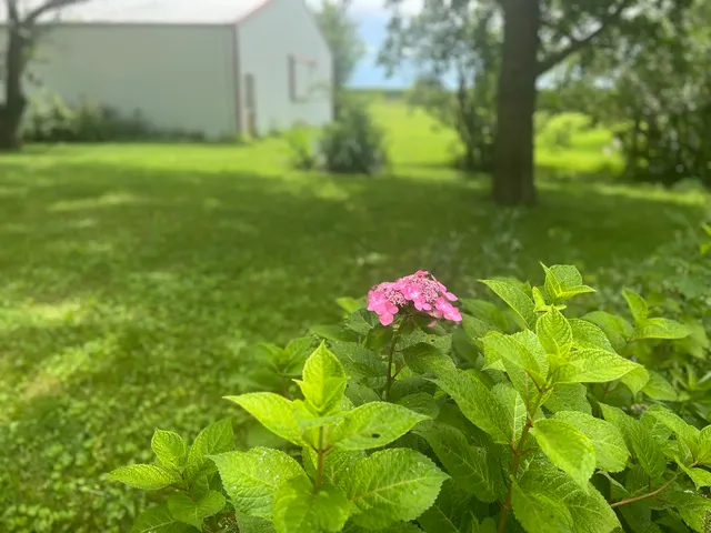 $499,000 | 2761 County Road 1700 North, Ogden, IL 61859