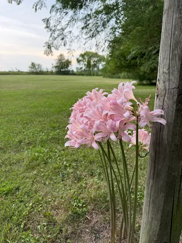 $499,000 | 2761 County Road 1700 North, Ogden, IL 61859