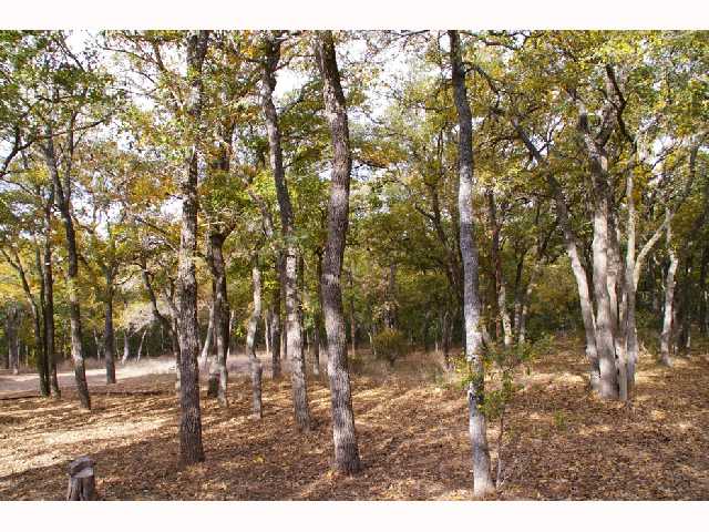 388 Riddle Road Cedar Creek, TX 78612 - Photo 1 of 1
