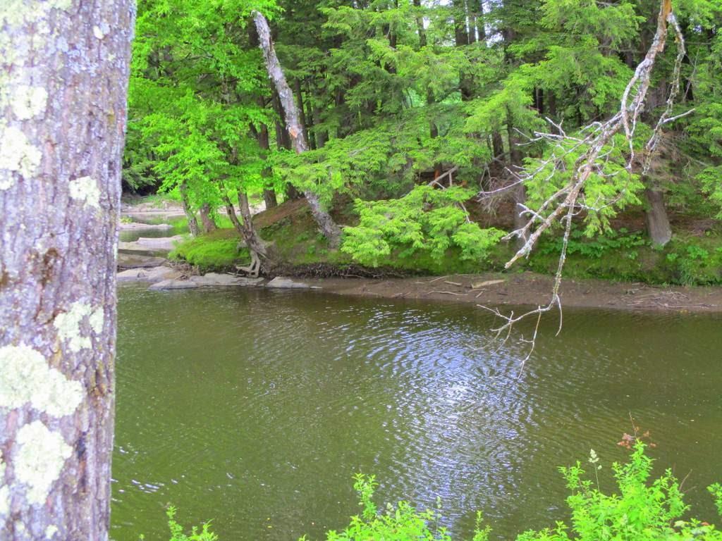 175 Webster Road Farmington, ME 04938 - Photo 17 of 35 Photo